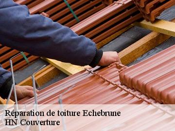 Réparation de toiture echebrune-17800 HN Couverture