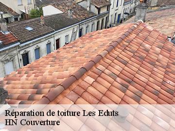 Réparation de toiture 17510
