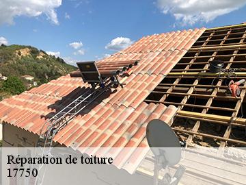 Réparation de toiture 17750