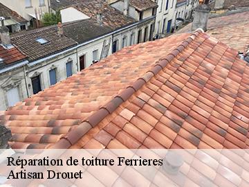 Réparation de toiture 17170