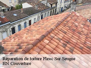 Réparation de toiture 17800