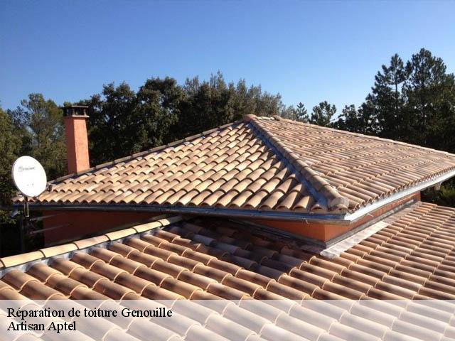 Réparation de toiture  genouille-17430 Artisan Aptel