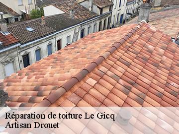 Réparation de toiture  17160