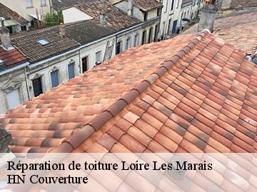 Réparation de toiture 17870