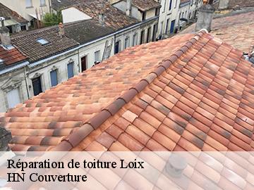 Réparation de toiture 17111