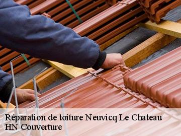 Réparation de toiture neuvicq-le-chateau-17490 HN Couverture