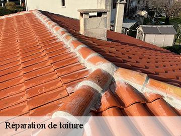 Réparation de toiture 17700