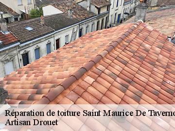 Réparation de toiture  17500