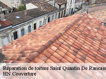 Réparation de toiture 17800