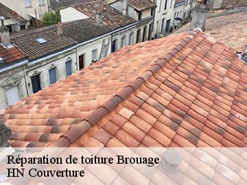 Réparation de toiture 17320