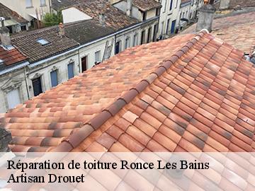 Réparation de toiture  17390