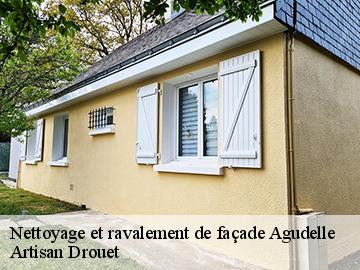 Nettoyage et ravalement de façade  17500