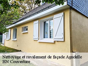 Nettoyage et ravalement de façade 17500