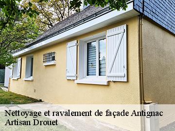 Nettoyage et ravalement de façade  17240