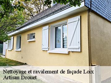 Nettoyage et ravalement de façade 17111
