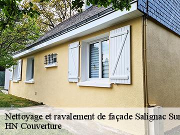 Nettoyage et ravalement de façade  17800