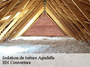 Isolation de toiture  agudelle-17500 Artisan Aptel