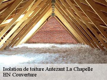 Isolation de toiture  antezant-la-chapelle-17400 Artisan Aptel