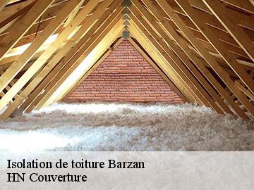 Isolation de toiture  barzan-17120 Artisan Aptel