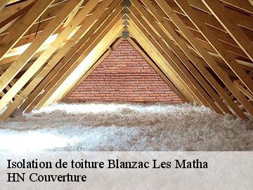 Isolation de toiture blanzac-les-matha-17160 HN Couverture