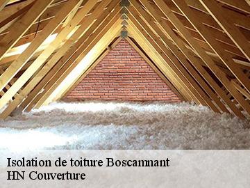 Isolation de toiture  boscamnant-17360 Artisan Aptel