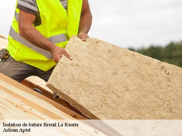 Isolation de toiture  breuil-la-reorte-17700 Artisan Aptel