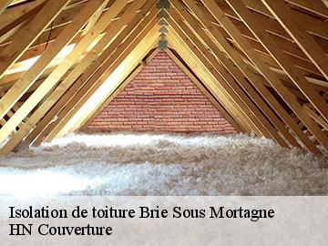 Isolation de toiture  brie-sous-mortagne-17120 HN Couverture