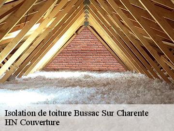 Isolation de toiture bussac-sur-charente-17100 HN Couverture