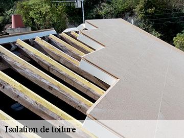 Isolation de toiture 17290
