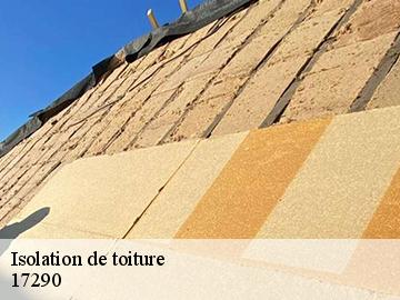 Isolation de toiture 17290