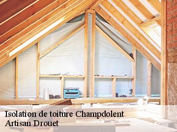 Isolation de toiture  17430