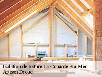 Isolation de toiture  17670