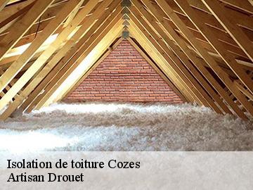 Isolation de toiture  cozes-17120 Artisan Drouet