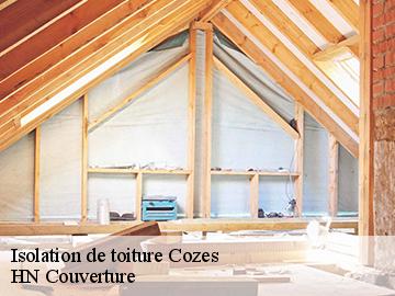 Isolation de toiture 17120