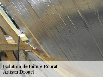 Isolation de toiture