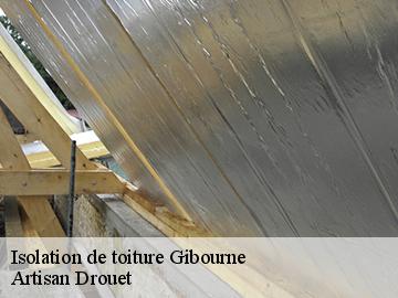 Isolation de toiture