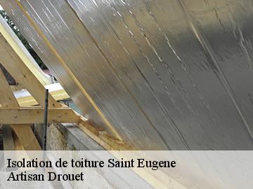 Isolation de toiture