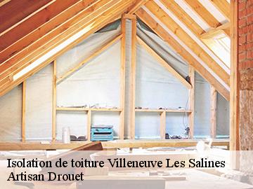 Isolation de toiture 17000