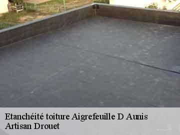 Etanchéité toiture aigrefeuille-d-aunis-17290 Artisan Drouet