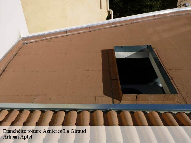 Etanchéité toiture  asnieres-la-giraud-17400 Artisan Aptel