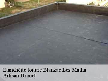 Etanchéité toiture  blanzac-les-matha-17160 Artisan Drouet