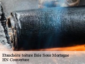 Etanchéité toiture 17120