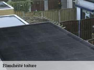 Etanchéité toiture  17210