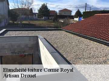 Etanchéité toiture  17600