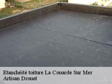 Etanchéité toiture  la-couarde-sur-mer-17670 Artisan Drouet