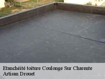 Etanchéité toiture  coulonge-sur-charente-17350 Artisan Drouet