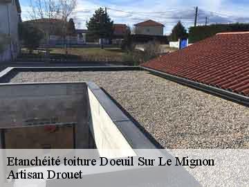 Etanchéité toiture  17330