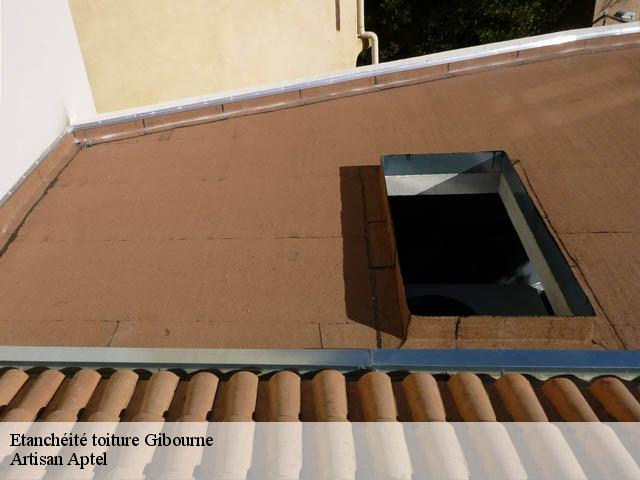 Etanchéité toiture  gibourne-17160 Artisan Aptel