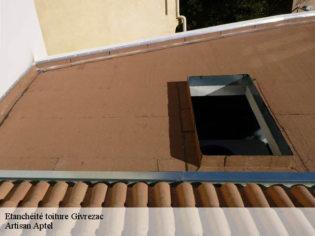 Etanchéité toiture  givrezac-17260 Artisan Aptel