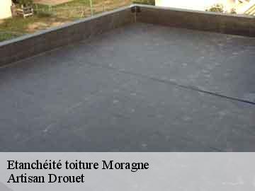 Etanchéité toiture moragne-17430 Artisan Drouet